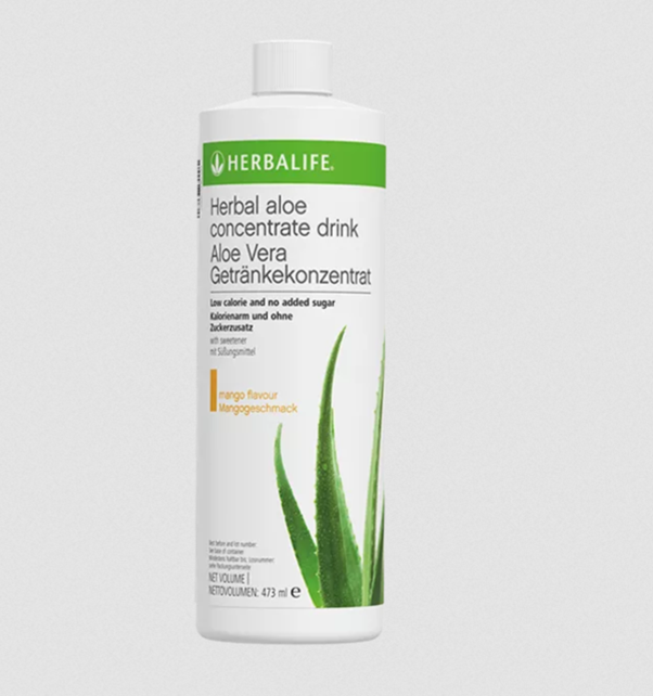 aloe vera bedroom plant Aloe Vera Plant For Sale, Full Care Guide & Plant Insights Medium / Eco Pot / Earl Grey main image 1